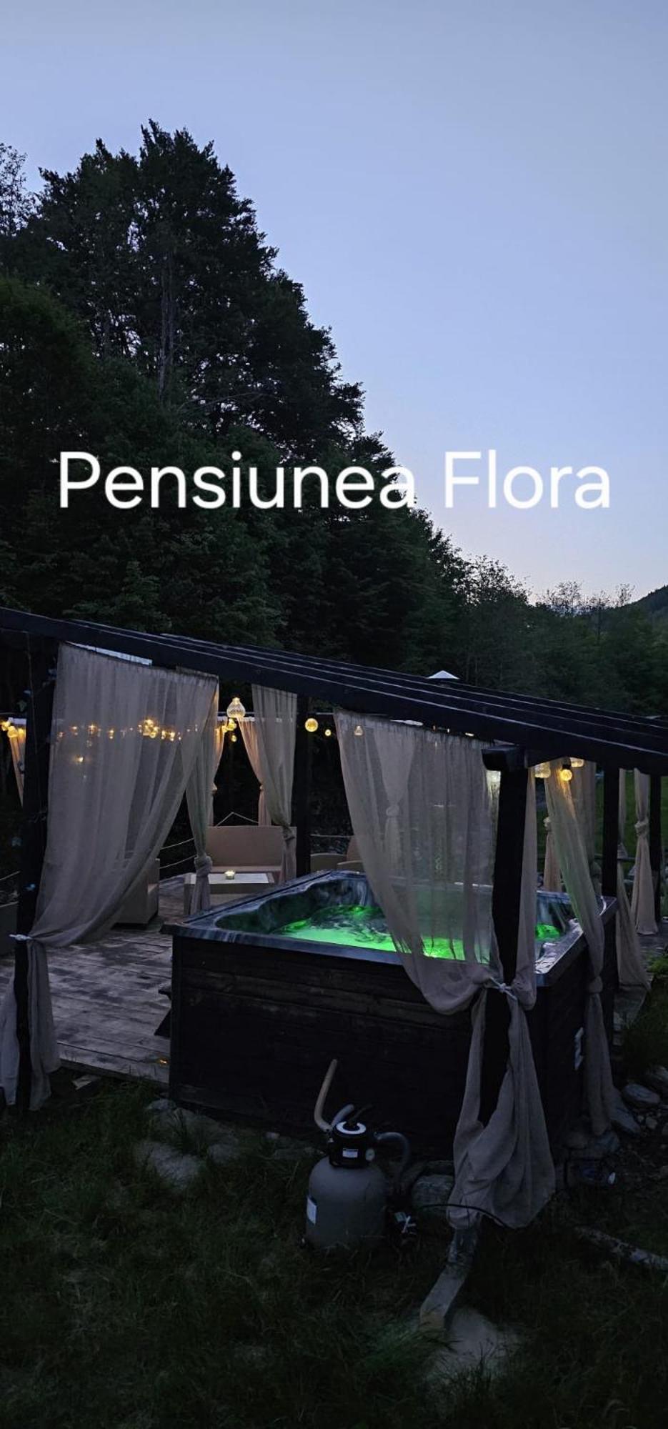Pensiunea Flora Cartisoara Exterior photo